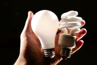 Picture of Hand Holding Light Bulbs